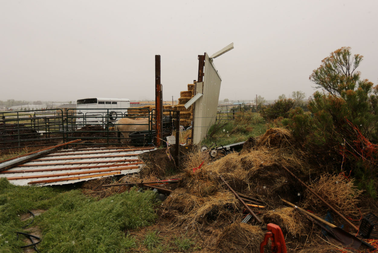 Torrington Tornado